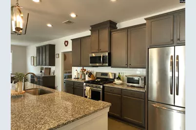 218 Chapin Brooke Court, Chapin, SC 29036 - Photo 19