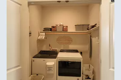 218 Chapin Brooke Court, Chapin, SC 29036 - Photo 35