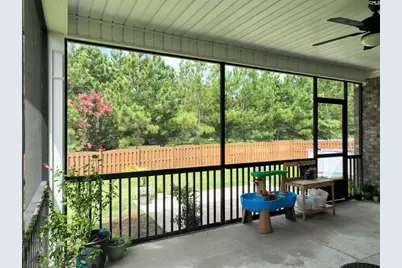 218 Chapin Brook Court, Chapin, SC 29036 - Photo 41
