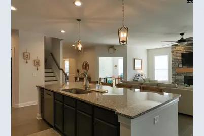 218 Chapin Brook Court, Chapin, SC 29036 - Photo 15
