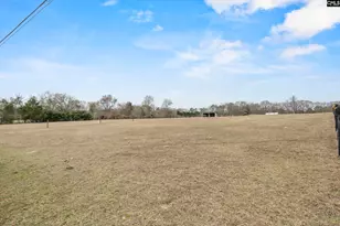 803 Langford Rd, Blythewood, SC 29016 - Photo 47