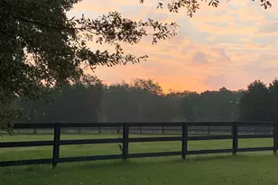 803 Langford Rd, Blythewood, SC 29016 - Photo 51