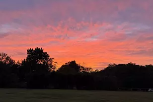 803 Langford Rd, Blythewood, SC 29016 - Photo 49