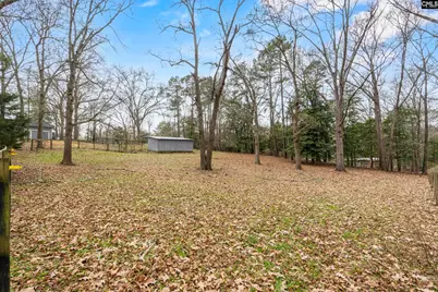 803 Langford Road, Blythewood, SC 29016 - Photo 39