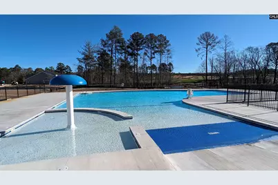2313 Damascus Way, Lexington, SC 29073 - Photo 23