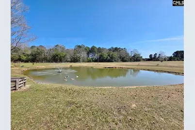 3135 Cox Road, Sumter, SC 29154 - Photo 29