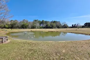 3135 Cox Rd, Sumter, SC 29154 - Photo 29