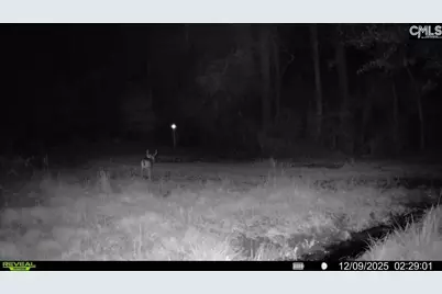 3135 Cox Road, Sumter, SC 29154 - Photo 53