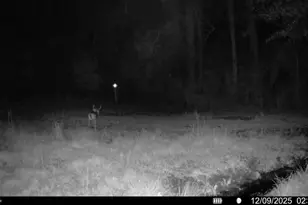 3135 Cox Rd, Sumter, SC 29154 - Photo 53