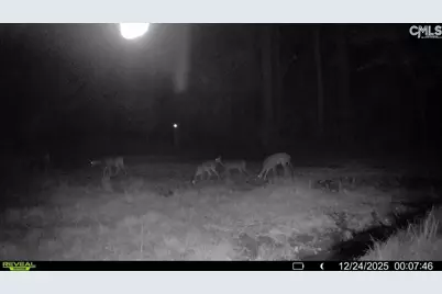 3135 Cox Road, Sumter, SC 29154 - Photo 51