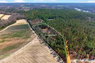 0 Rimrock Rd, Gilbert, SC 29054 - Photo 7