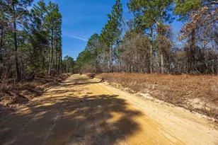 0 Rimrock Rd, Gilbert, SC 29054 - Photo 3