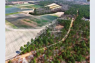 0 Rimrock Road, Leesville, SC 29070 - Photo 5