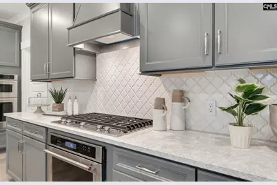 607 Mossy Branch Road, Blythewood, SC 29016 - Photo 17