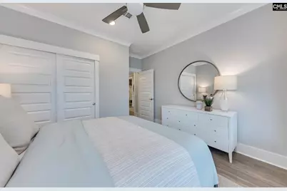 607 Mossy Branch Road, Blythewood, SC 29016 - Photo 9