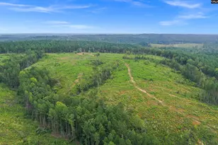 0000 Penner Road 7, Jenkinsville, SC 29065 - Photo 1