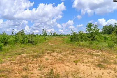 0000 Penner Road 7 #7, Jenkinsville, SC 29065 - Photo 33