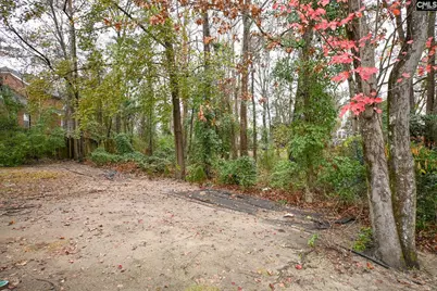 412 Mana Vista Court, Lexington, SC 29072 - Photo 63