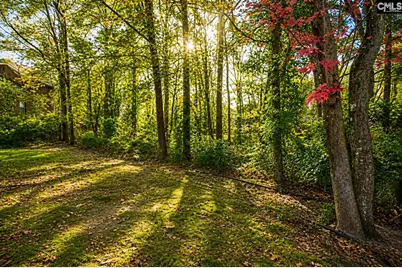 412 Mana Vista Court, Lexington, SC 29072 - Photo 59