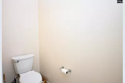 412 Mana Vista Court, Lexington, SC 29072 - Photo 33