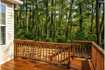 412 Mana Vista Court, Lexington, SC 29072 - Photo 57