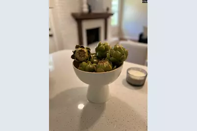 910 Wordsworth Drive, Columbia, SC 29209 - Photo 13