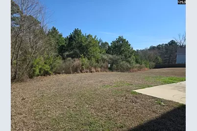 355 Spring Meadow Road, Columbia, SC 29223 - Photo 41