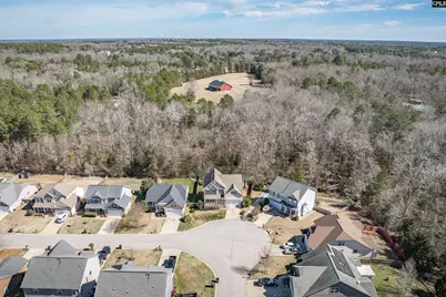 260 Eagle Pointe Drive, Chapin, SC 29036 - Photo 45