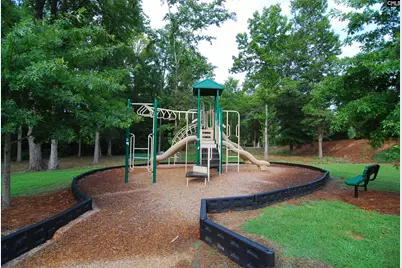 761 Kimsey Drive, Chapin, SC 29036 - Photo 47