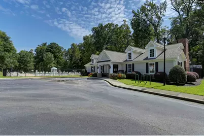 761 Kimsey Drive, Chapin, SC 29036 - Photo 49