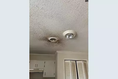 536 Dogwood Road, West Columbia, SC 29172 - Photo 11