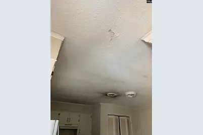 536 Dogwood Road, West Columbia, SC 29172 - Photo 13