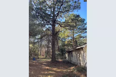 536 Dogwood Road, West Columbia, SC 29172 - Photo 7