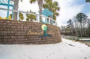 213 Sunset Point Dr, Lexington, SC 29072 - Photo 31