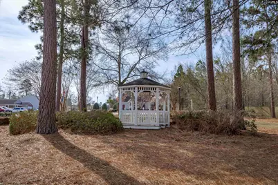 145 Greycoat Court, Lexington, SC 29073 - Photo 25