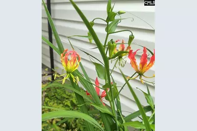 1017 Aderley Oak Drive, Irmo, SC 29063 - Photo 47