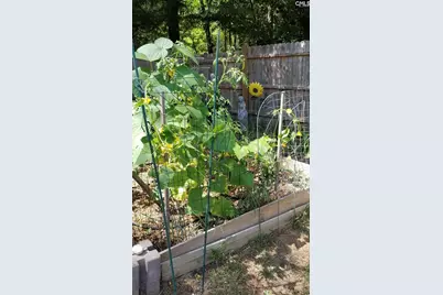 1017 Aderley Oak Drive, Irmo, SC 29063 - Photo 51