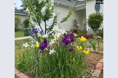 1017 Aderley Oak Drive, Irmo, SC 29063 - Photo 49