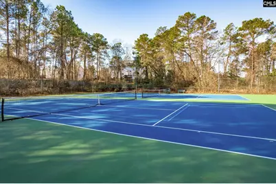 115 Fallen Oak Drive, Columbia, SC 29229 - Photo 93