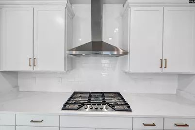 615 Mossy Branch Road, Blythewood, SC 29016 - Photo 13