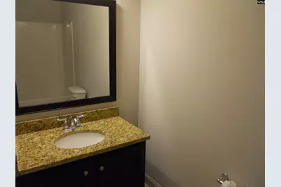 238 Bronze Bluff Court, Lexington, SC 29073 - Photo 21