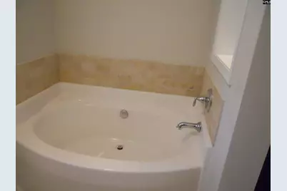 238 Bronze Bluff Court, Lexington, SC 29073 - Photo 27