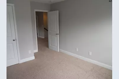 238 Bronze Bluff Court, Lexington, SC 29073 - Photo 17