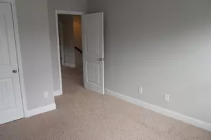 238 Bronze Bluff Ct, Lexington, SC 29073 - Photo 17