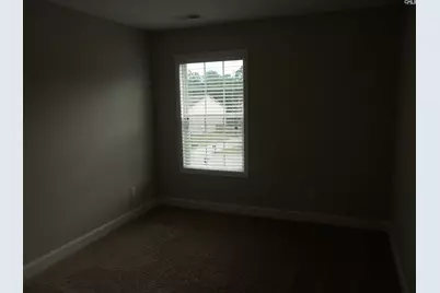 238 Bronze Bluff Court, Lexington, SC 29073 - Photo 19