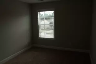 238 Bronze Bluff Ct, Lexington, SC 29073 - Photo 19