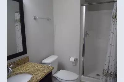 238 Bronze Bluff Court, Lexington, SC 29073 - Photo 3