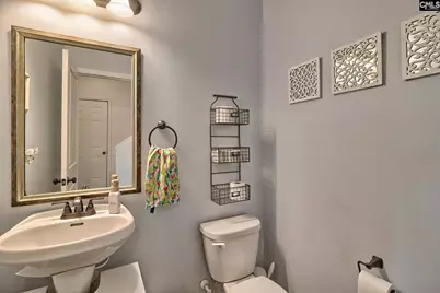 804 Burnview Lane, Chapin, SC 29036 - Photo 33
