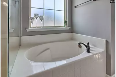 804 Burnview Lane, Chapin, SC 29036 - Photo 41
