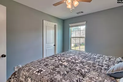 804 Burnview Lane, Chapin, SC 29036 - Photo 47
